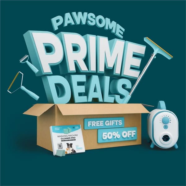 🟡 Prime Time Sale - 50% OFF 🟡