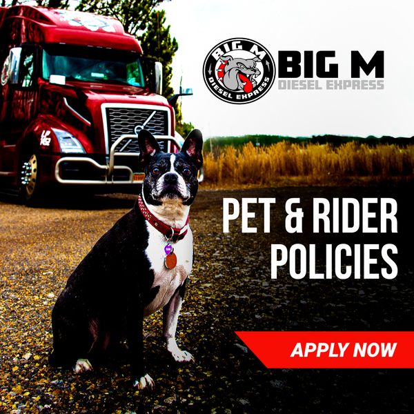 Run With The Big Dogs | Drive for Big M