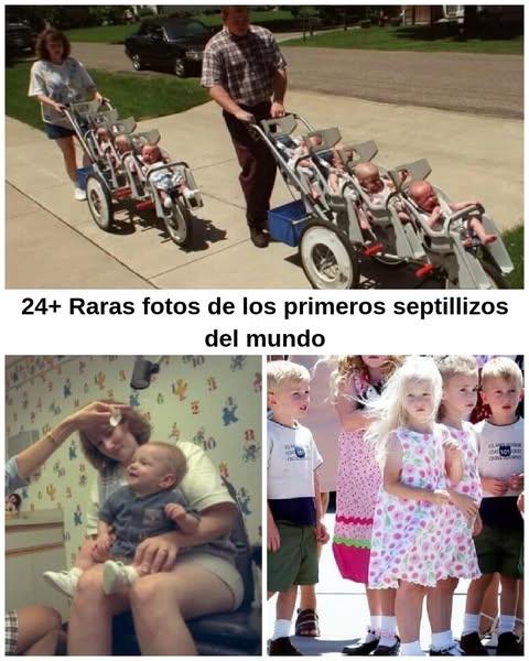 Cómo siete hermanos hicieron juntos historia de la medicina