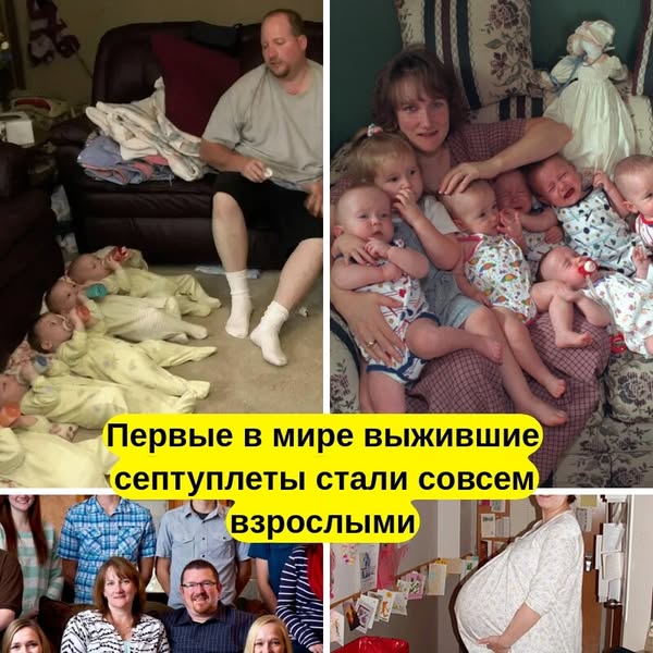 Удивительная История Первых В Мире Выживших Семерняшек