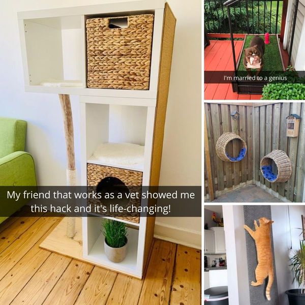 Creative IKEA Upgrades For Your Pets.