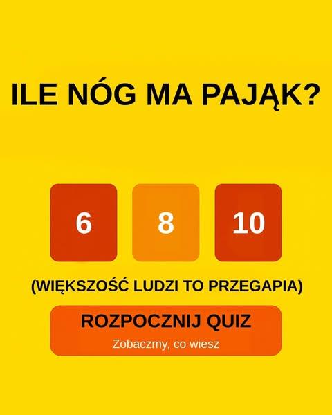 Czy potrafisz przechytrzyć 99% ludzi?