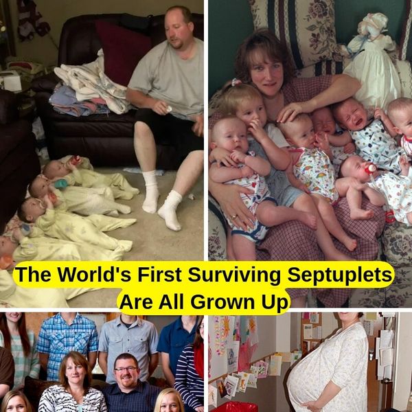 The Amazing Story of The World’s First Surviving Septuplets