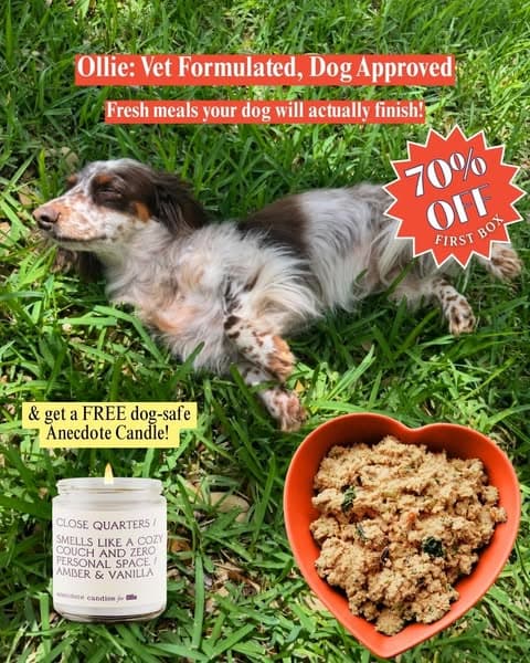 Free Anecdote Candle + 70% Off