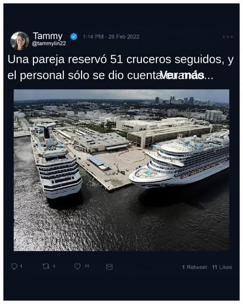 Un año de cruceros y nadie se fijó en esta pareja
