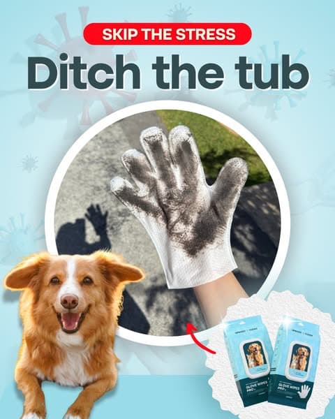 Effortless Grooming & a Shiny Coat with Uproot Grooming Gloves Pro!