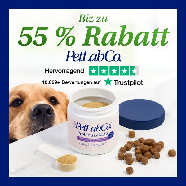 55% auf Probiotika! ⏳ Jetzt Angebot sichern!