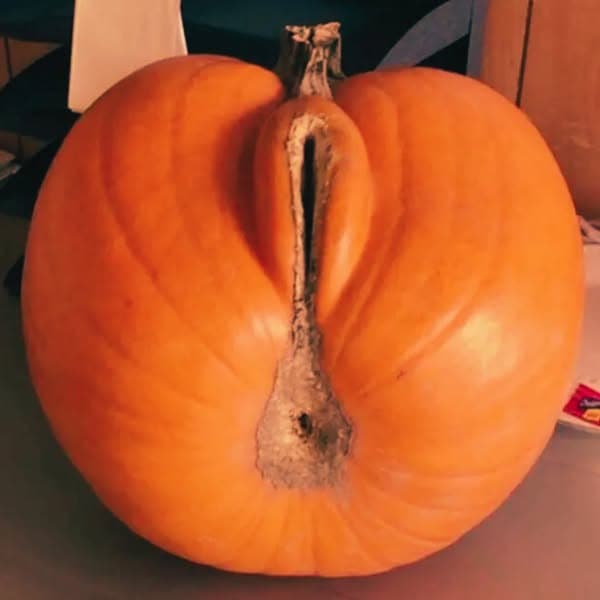 Men Get Medicine Women Get Menopause