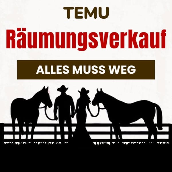 Tolle Angebote bei Temu