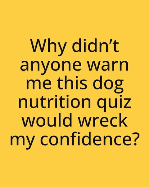 Can You Pass This Dog Nutrition Quiz?