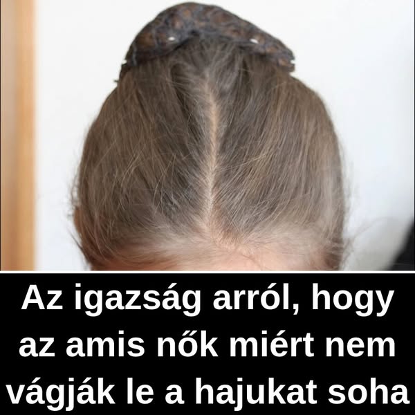 Több, mint 32 kevésbé ismert tény az ámisokról.