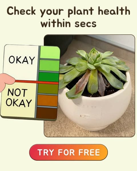 Take a Quiz Now! 🌱