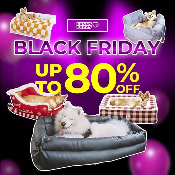 Biggest Sale of the Year: Save on Pet Beds, Sofa Covers & More