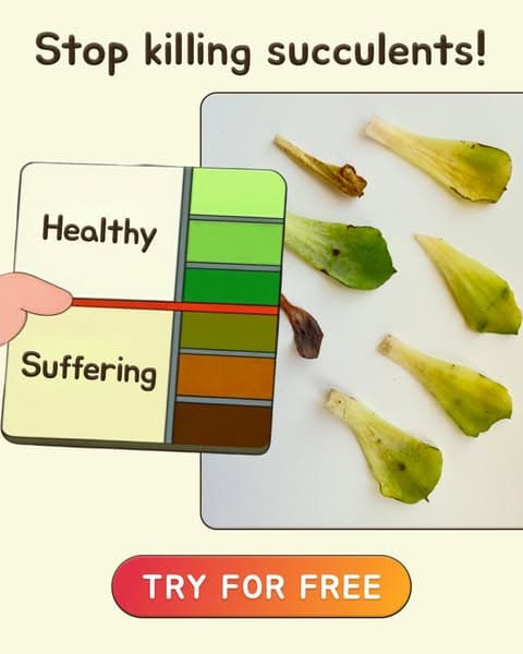 Take a Quiz Now! 🌱