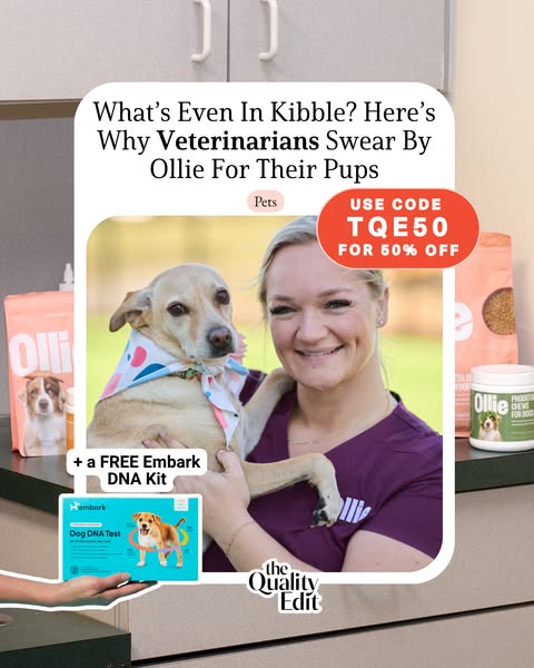 Ollie: Healthier, Human-Grade Dog Food Delivery