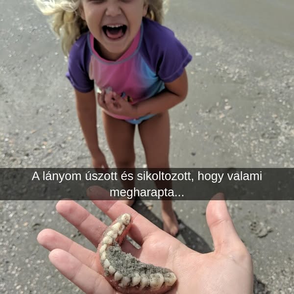 Több, mint 39 nevetséges strandkép, ami jót tett nekünk.
