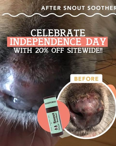 4th of July Sale! Get 20% OFF Sitewide!