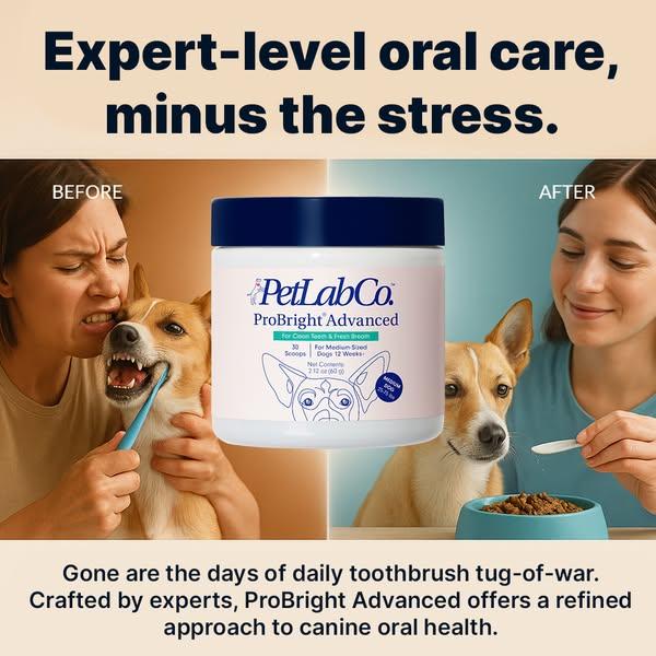 Keep their teeth clean WITHOUT a toothbrush!