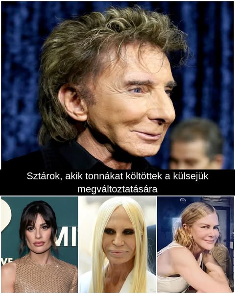 A legdrágább hollywoodi kozmetikai változtatások