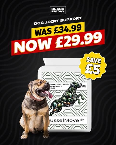 100% Money Back Guarantee