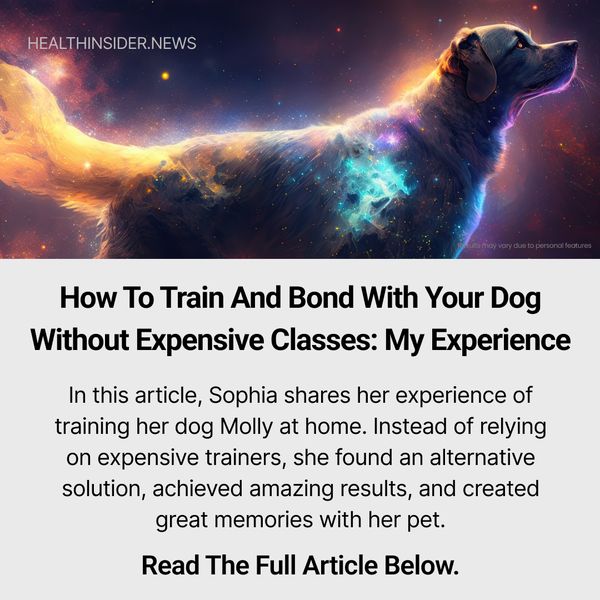 How I Taught My Dog to Behave and Learn a New Trick Every Week While We’re Having a Great Time