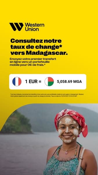 Envoyez de l’argent en ligne