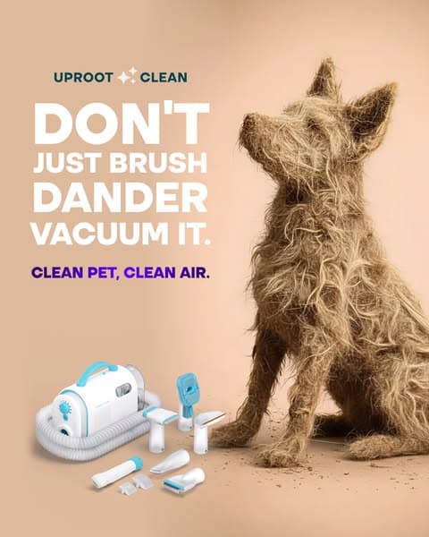Struggling with Pet hair? Not for long!