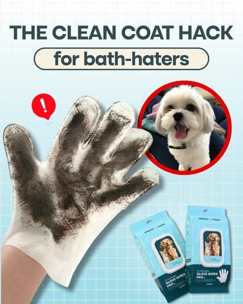 Effortless Grooming & a Shiny Coat with Uproot Grooming Gloves Pro!