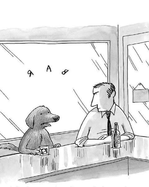 Think You Know These Common Idioms? Most People Don’t