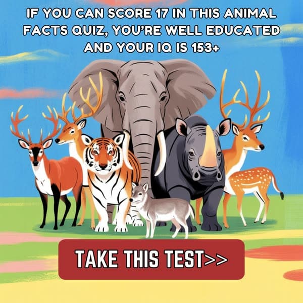 Animal Facts Quiz