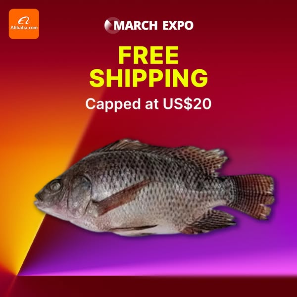 Alibaba.com - B2B marketplace