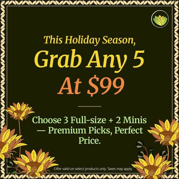 Holiday Sale: 5 at $99 TODAY!