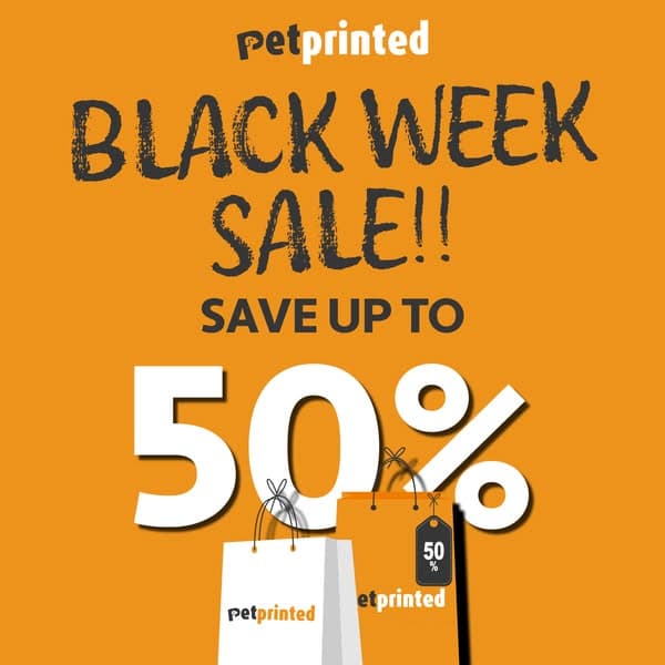 SALE OF THE YEAR 🔥