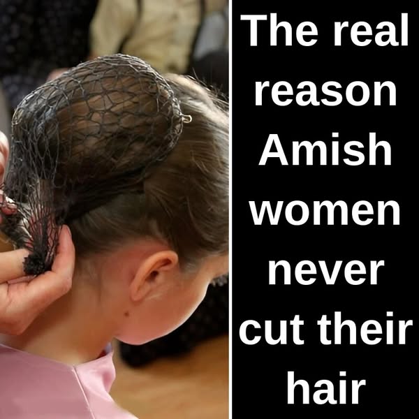 35+ Things We Didn't Know About The Amish