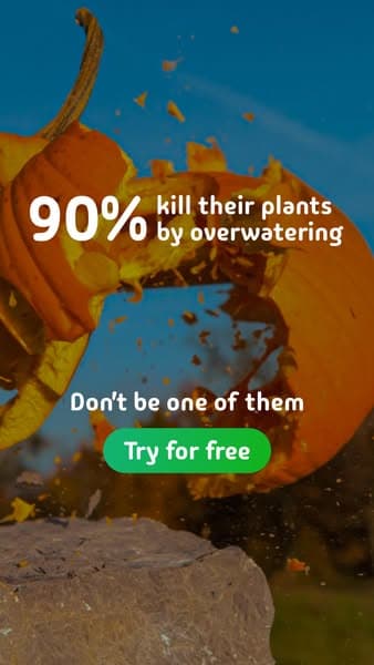 Take a Quiz Now! 🌱