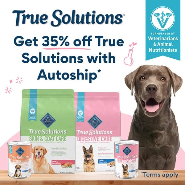 Support Your Dog’s Needs