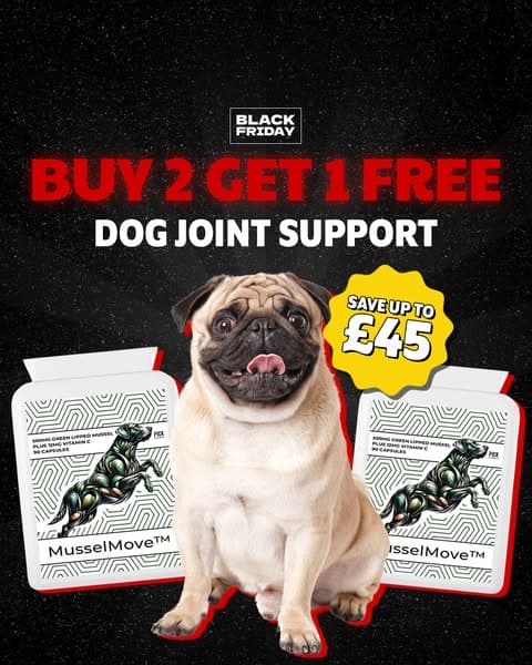 100% Money Back Guarantee