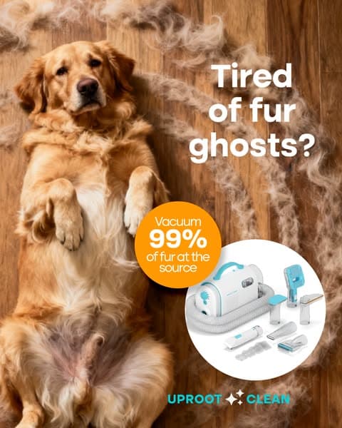 Struggling with Pet hair? Not for long!