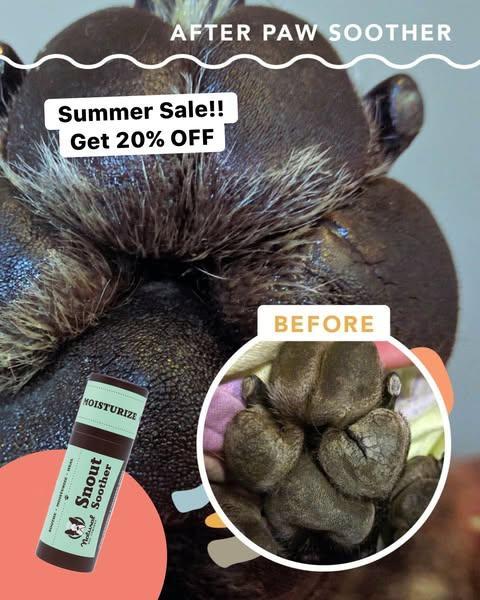 4th of July Sale! Get 20% OFF Sitewide!