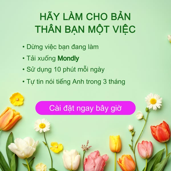 Khóa học tiếng anh tương tác