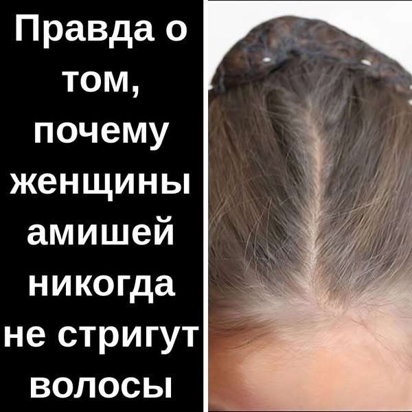 32+ малоизвестных фактов о народе амишей