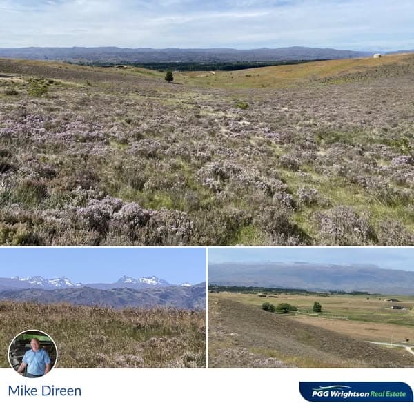 Lifestyle - With Your Weekends Free!