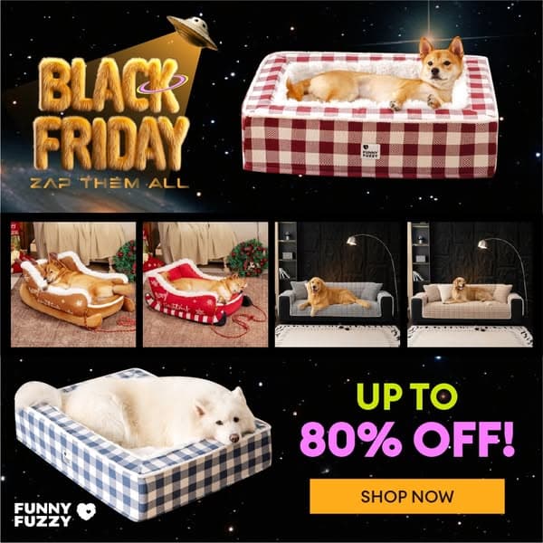 Biggest Sale of the Year: Save on Pet Beds, Sofa Covers & More