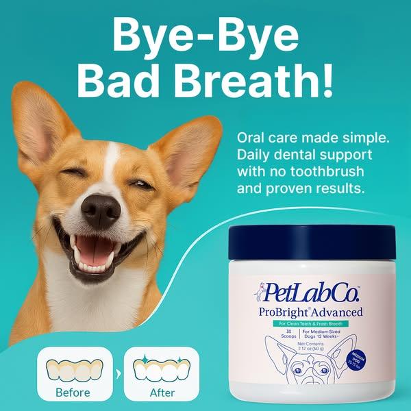 Keep their teeth clean WITHOUT a toothbrush!