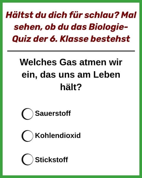 Versuche das Grundschul-Biologie-Quiz 🚗.