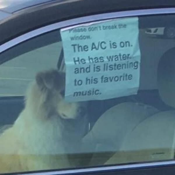 Passive-Aggressive Windshield Notes Left By Petty Geniuses