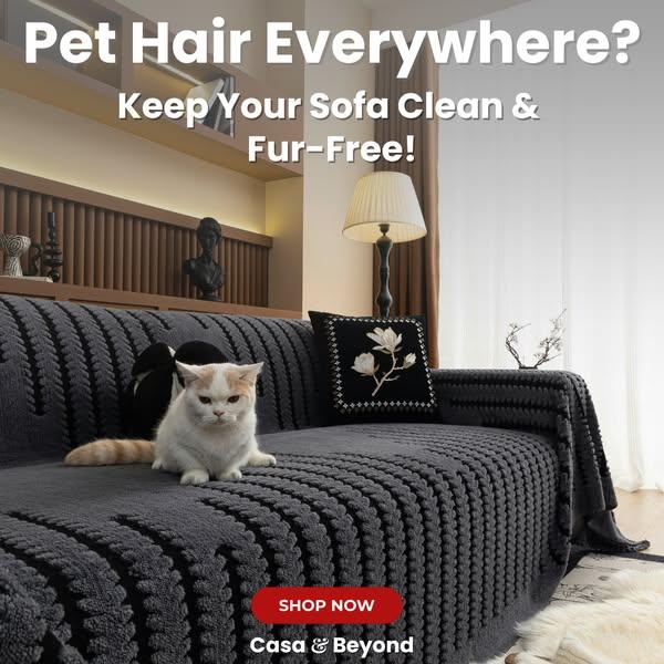 Protect Your Couch from Everyday Life—Effortlessly!