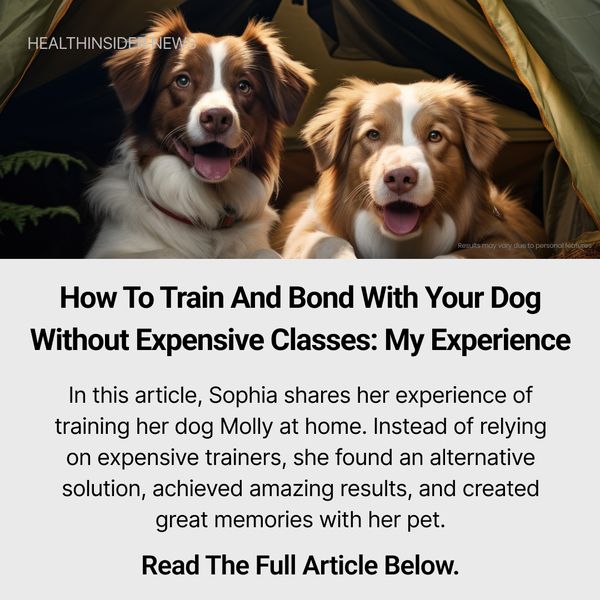 How I Taught My Dog to Behave and Learn a New Trick Every Week While We’re Having a Great Time