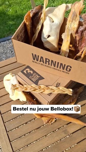 Shop nu de favoriet van jouw hond