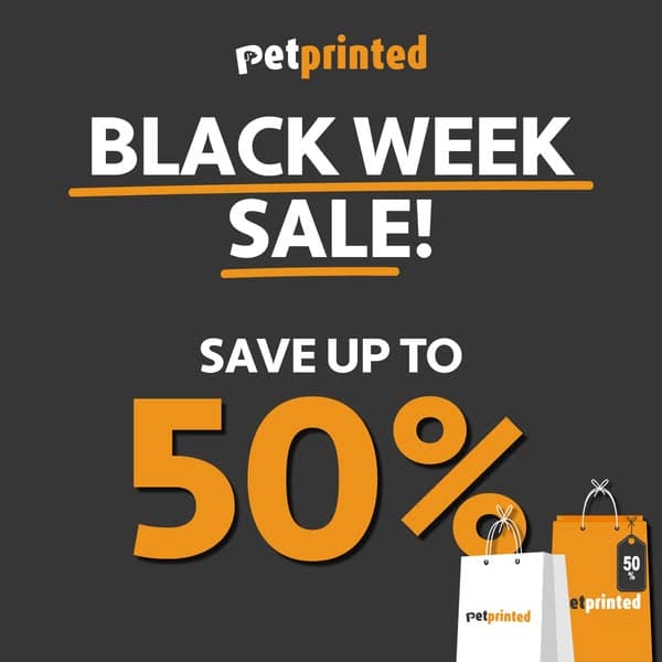 SALE OF THE YEAR 🔥